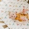 Copper Pearl Premium Knit Fitted Crib Sheet