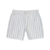 Men's Boardshort | Blue Stripe (L, XL)