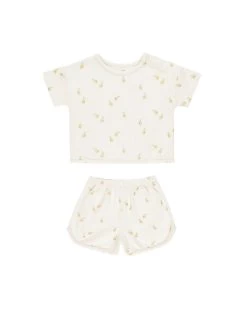 Spongey Play Set || Lemons (4-5Y)