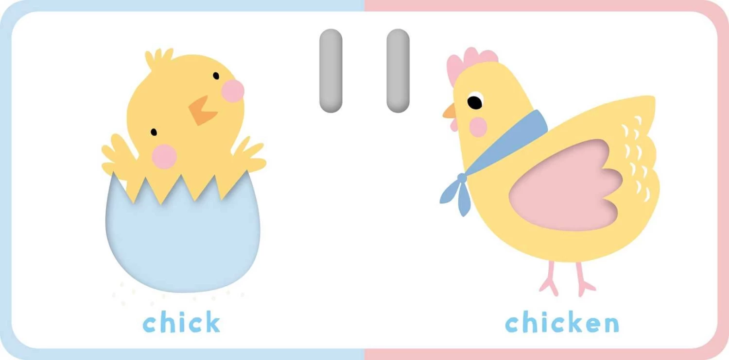 Touch & Feel Stroller Book - Farm 3 Touch & Feel Stroller Book - Farm – Bild 3